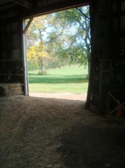 2013 - Inside the Barn