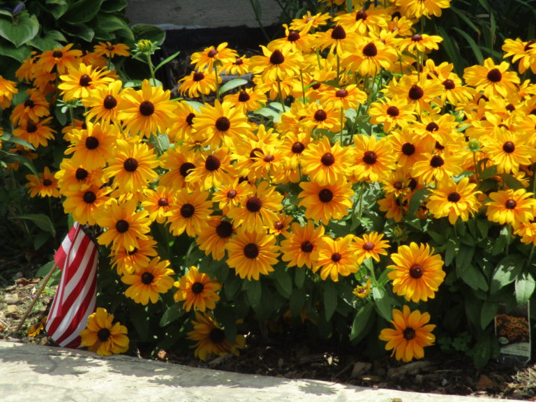 Gardens of Clayson House